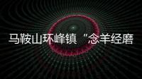 马鞍山环峰镇“念羊经磨羊工发羊财”